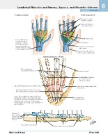 Frank H. Netter, MD - Atlas of Human Anatomy (6th ed ) 2014, page 496